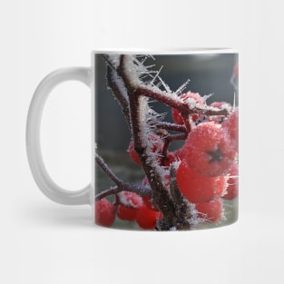 Frosty Mountain Ash Berries on a Cold November Morning Mug